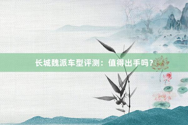 长城魏派车型评测：值得出手吗？